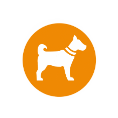 Sierra Sticker