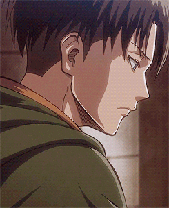 levi