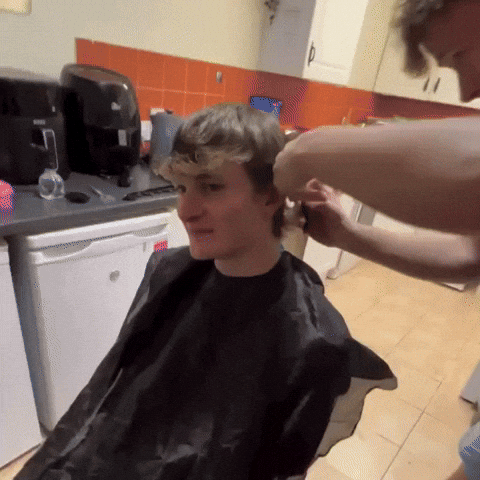 Hair Barber GIF