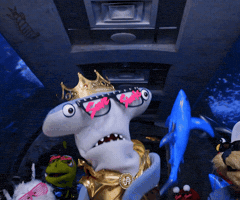 Lets Go Dance GIF by Aquarium of the Pacific