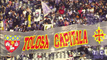 toulousefc sports soccer people ligue 1 GIF