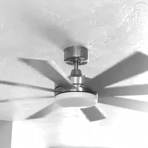 Cooling Black And White GIF