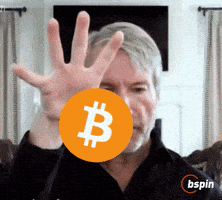 Crypto Meme GIF by Bspin
