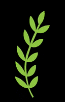 200.gif?cid=fc005b08c57abc42898ef935047160f4e3fc8e4edeefc12b&rid=200.gif&ct=g