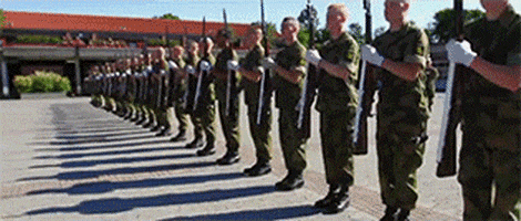 guard norwegian GIF