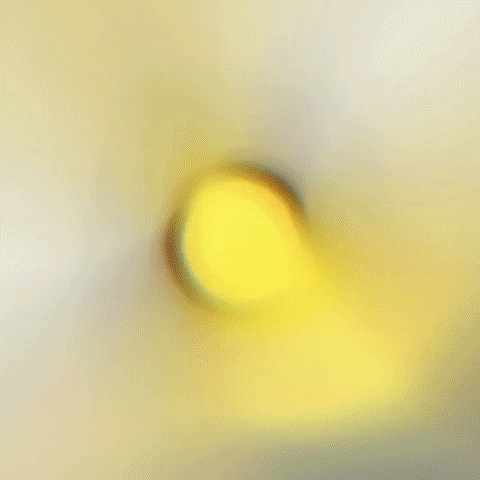 equipeluzcascavel GIF