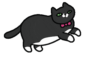 Black Cat Running Sticker