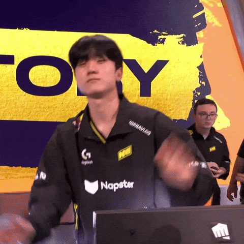 Navi GIF by Natus Vincere