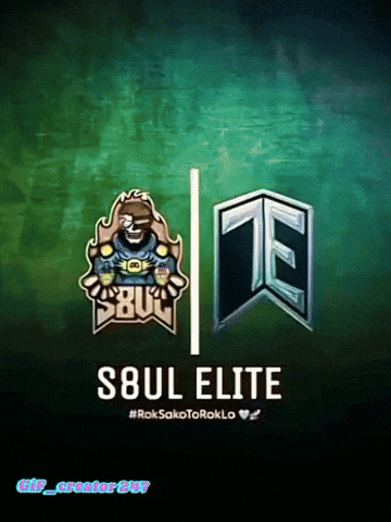 Team Elite Te GIF