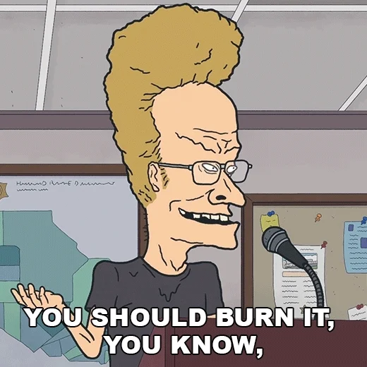 Burn It Beavis And Butthead GIF by Paramount+