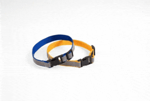 Dogcollar GIF