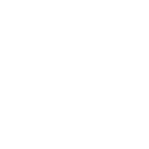 Max Pro X MOHI Sticker