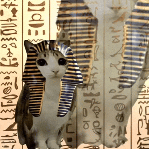 Egypt GIF