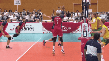 Power Yes GIF by Volleyball World