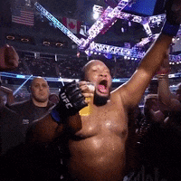 Sport Party GIF by UFC