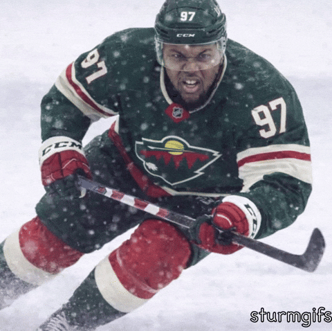Minnesota Wild Hockey GIF