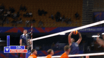 Smash United States GIF by Volleyball World