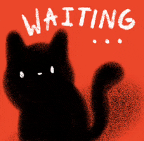 Cat Waiting GIF by Abitan