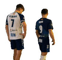 Sport Volleyball Sticker by Club Voley Palma