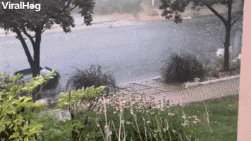 Garbage Cans Float Down Street During Flood GIF by ViralHog