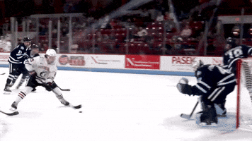 Northeastern Athletics GIF