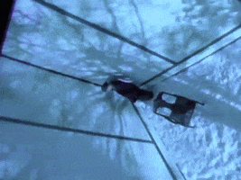 cdc  GIF