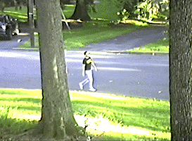 200.gif?cid=fc005b08e2ac8e92218adb236e6cdee856e41fed8168896e&rid=200.gif&ct=g