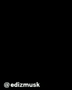 Baldurs Gate GIF