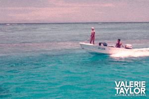 Valerie Taylor Ocean GIF by Madman Films