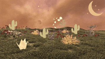 Aesthetic GIF
