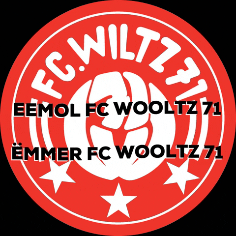 FC WILTZ 71 GIF