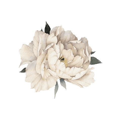 ANDORRA Women & Children Hospital Sticker