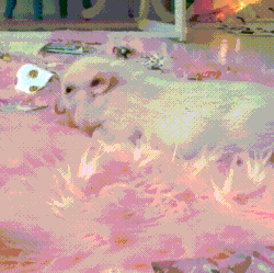 furry