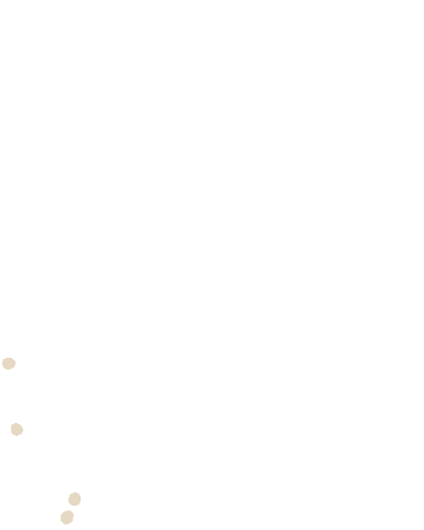 Source: Daniela Nachtigall