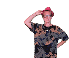 Pink Bow Sticker by Stadsgehoorzaal Vlaardingen