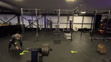 200.gif?cid=fc005b08e65568ab47c591c3629f61568e00d70e444eb3f0&rid=200.gif&ct=g