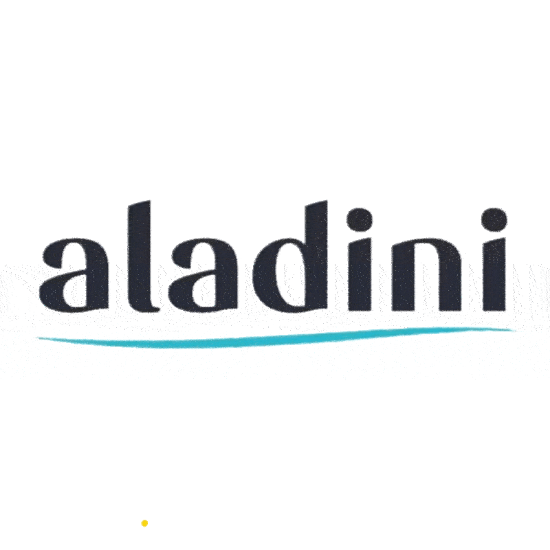 Online Shopping Shqip Sticker by Aladini