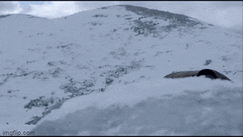 Snow GIF