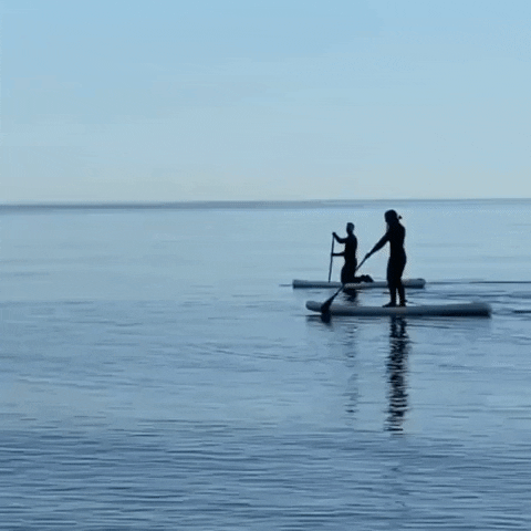 Watery water paddleboard paddleboarding Watery GIF