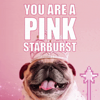 pink dogs GIF