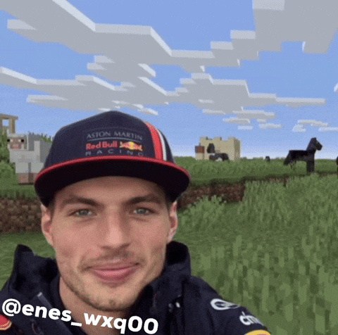 Max Verstappen F1 GIF