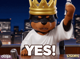 Card Game Yes GIF by Doginal Dogs