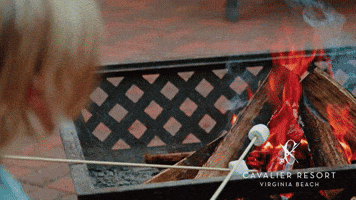 Travel Luxury GIF by Cavalier Resort Virginia Beach