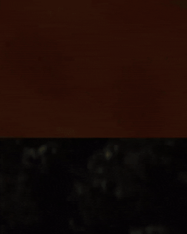 Celeste Model Management GIF