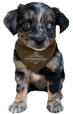 Real Estate Realtor Sticker by Chamberlain Realty LLC