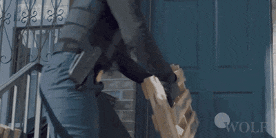 Break In Dick Wolf GIF by Wolf Entertainment