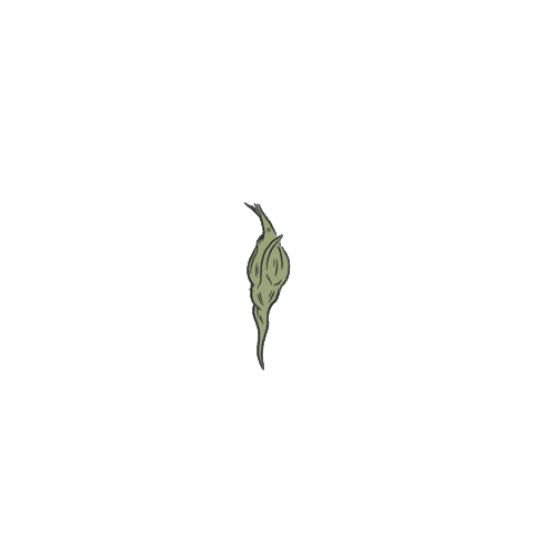 Growing Sticker