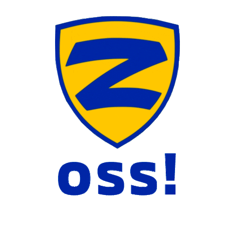 Zenith BJJ Matriz Brasil Sticker