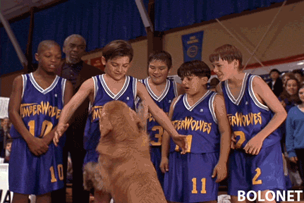 air bud