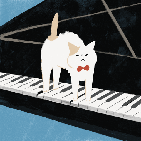 Dustfish cat piano GIF